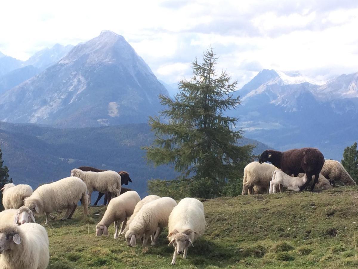 Apartamento Krinzerhaeusl Seefeld in Tirol Exterior foto